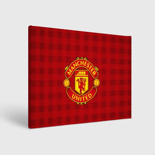 Холст прямоугольный Manchester united