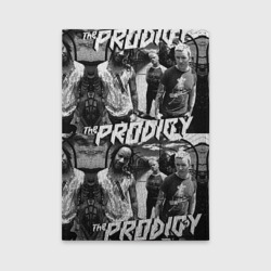 Обложка для автодокументов The Prodigy