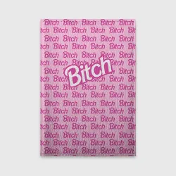 Обложка для автодокументов Bitch
