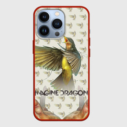 Чехол для iPhone 13 Pro Imagine Dragons