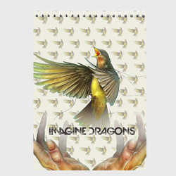 Скетчбук Imagine Dragons