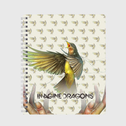 Тетрадь Imagine Dragons