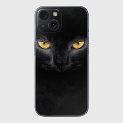 Чехол для iPhone 15 силиконовый с защитой камеры Черная кошка