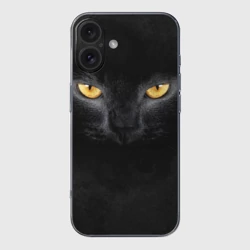 Чехол для iPhone 16 силиконовый с защитой камеры Черная кошка