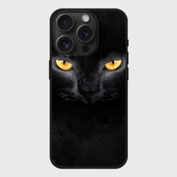 Чехол силиконовый для Apple iPhone 15 Pro Мax матовый Черная кошка