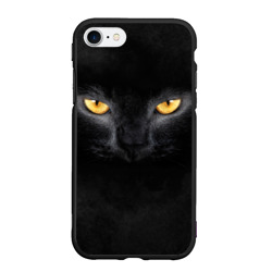 Черная кошка Черная кошка