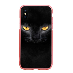 Чехол для iPhone XS Max матовый Черная кошка