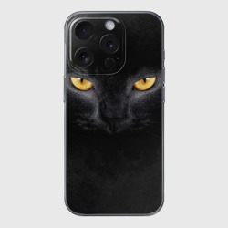 Чехол для iPhone 15 Pro силиконовый с защитой камеры Черная кошка
