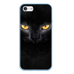 Чехол для iPhone 5/5S матовый Черная кошка