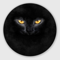 Черная кошка Черная кошка