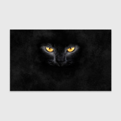 Черная кошка Черная кошка