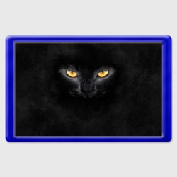 Магнит 45*70 Черная кошка