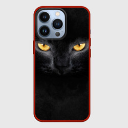 Чехол для iPhone 13 Pro Черная кошка