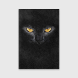 Черная кошка Черная кошка
