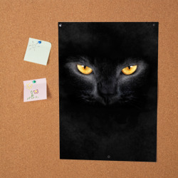 Постер Черная кошка - фото 2