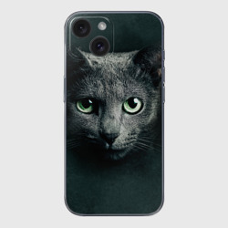 Чехол для iPhone 15 силиконовый с защитой камеры Серый кот
