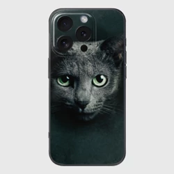 Чехол для iPhone 16 Pro Max силиконовый с защитой камеры Серый кот
