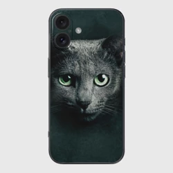 Чехол для iPhone 16 силиконовый с защитой камеры Серый кот
