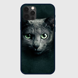 Чехол для iPhone 12 Pro Max Серый кот