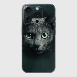 Чехол для iPhone 15 Pro силиконовый с защитой камеры Серый кот