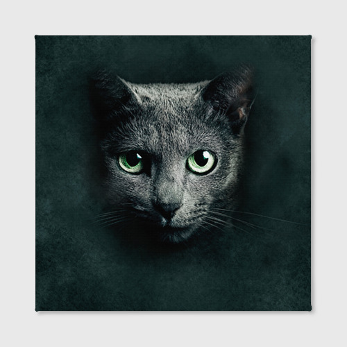 Холст квадратный Серый кот, цвет 3D печать - фото 2