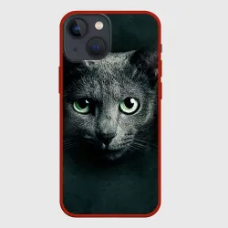 Чехол для iPhone 13 mini Серый кот