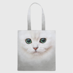 Белый котик Белый котик