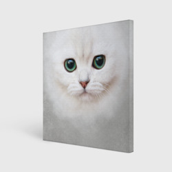 Белый котик – Холст квадратный с принтом купить