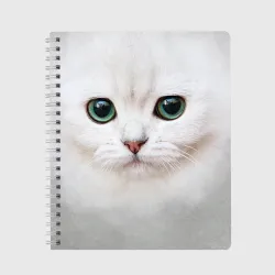 Тетрадь Белый котик