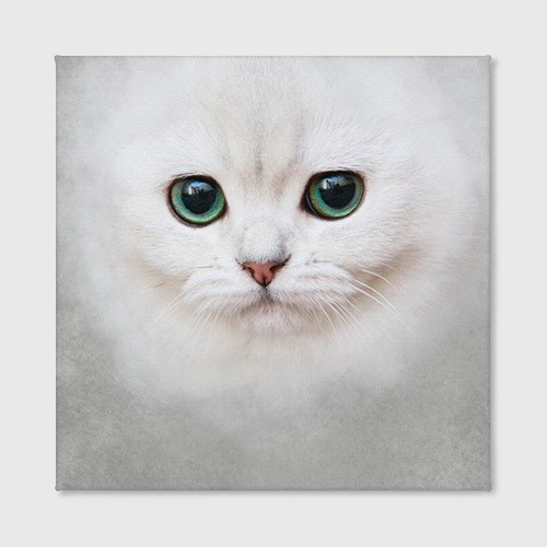 Холст квадратный Белый котик, цвет 3D печать - фото 2