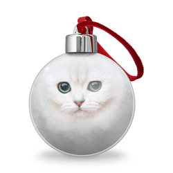 Белый котик Белый котик