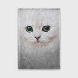 Обложка для автодокументов Белый котик