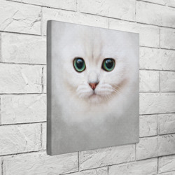 Холст с принтом Белый котик для любого человека, вид спереди №3. Цвет основы: белый