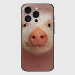 Чехол для iPhone 16 Pro силиконовый с защитой камеры Хрюшка мордашка крупный пятак
