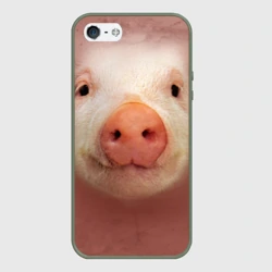 Чехол для iPhone 5/5S матовый Хрюшка мордашка крупный пятак