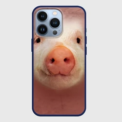 Чехол для iPhone 13 Pro Хрюшка мордашка крупный пятак