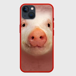 Чехол для iPhone 14 Хрюшка мордашка крупный пятак