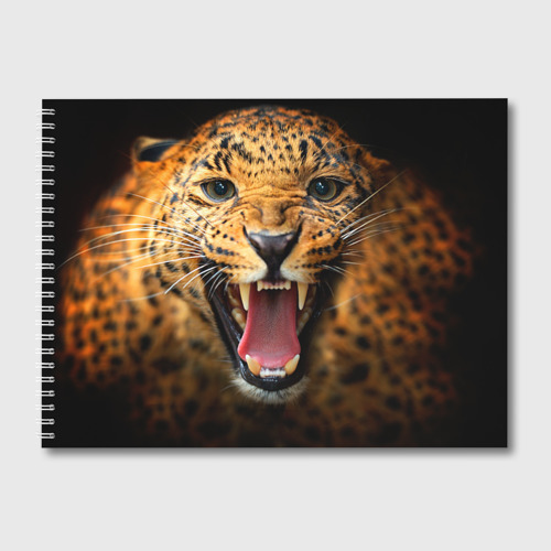 Альбом для рисования Леопард