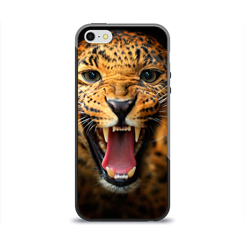 Чехол для iPhone 5/5S глянцевый Леопард Фото 01 Чехол для iPhone 5/5S глянцевый Леопард Фото 01