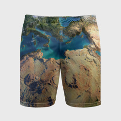 Мужские шорты спортивные Земля