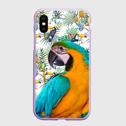 Чехол для iPhone XS Max матовый Попугаи