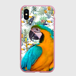 Чехол для iPhone XS Max матовый Попугаи