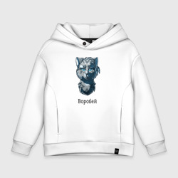 Детское худи Oversize хлопок Коты - Воители. Воробей