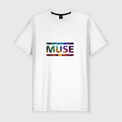 Мужская футболка хлопок Slim Muse colour