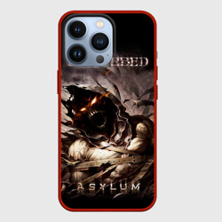 Чехол для iPhone 13 Pro Disturbed
