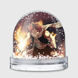 Fairy tail Fairy tail