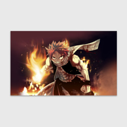 Fairy tail Fairy tail