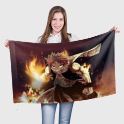 Fairy tail Fairy tail