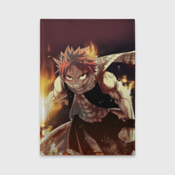 Fairy tail Fairy tail