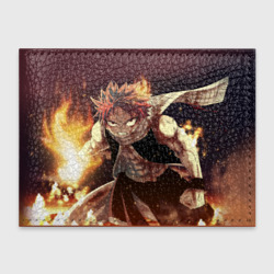 Fairy tail Fairy tail